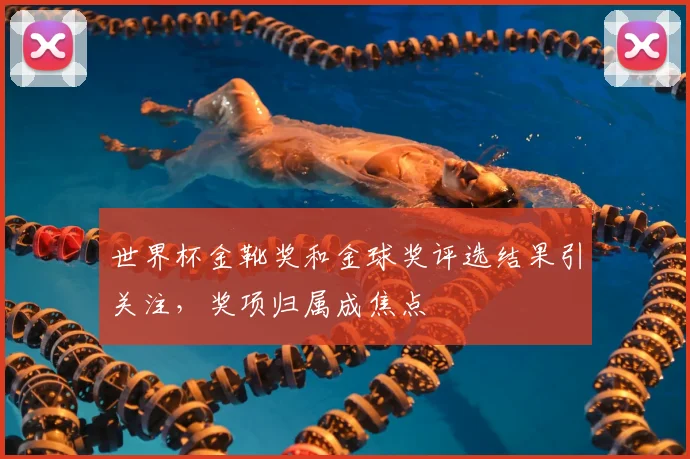 世界杯金靴奖和金球奖评选结果引关注，奖项归属成焦点