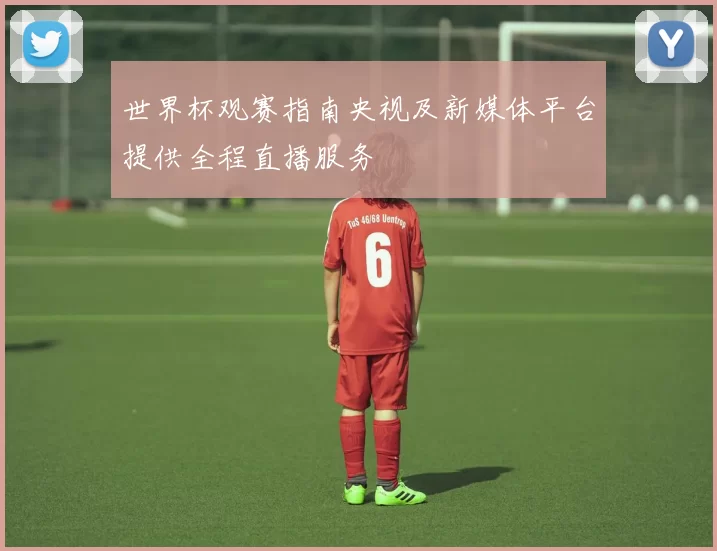 世界杯观赛指南央视及新媒体平台提供全程直播服务