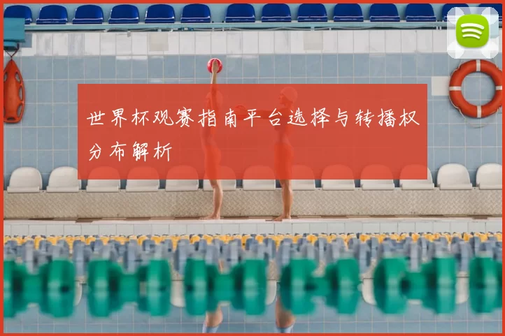 世界杯观赛指南平台选择与转播权分布解析