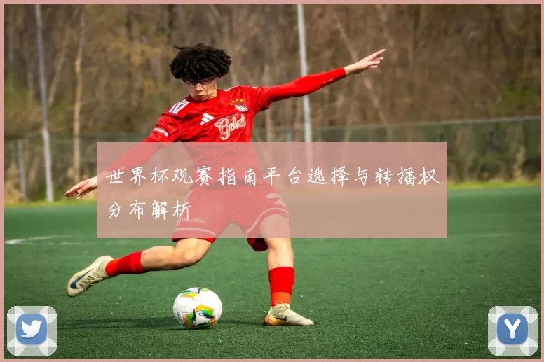 世界杯观赛指南平台选择与转播权分布解析